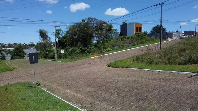 Terreno, foto 2