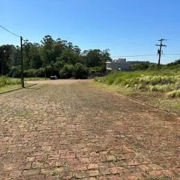 Uma estrada de terra se estende por uma área gramada sob um céu azul.