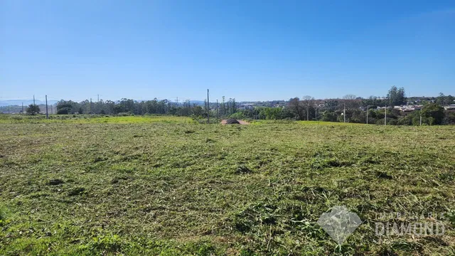 Terreno, foto 3