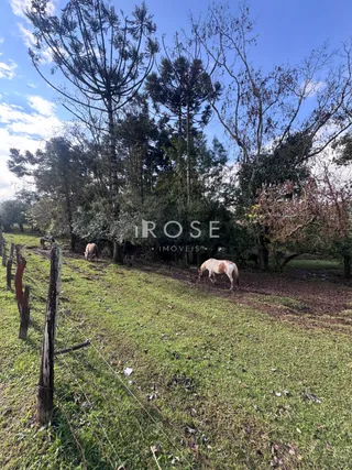 Área rural, foto 10