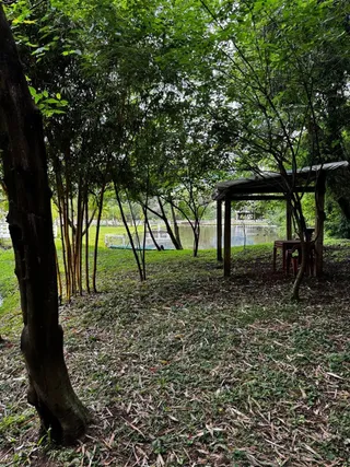 Área rural com 3 dormitórios, foto 6