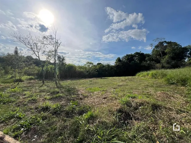 Paisagem de campo com vegetação e céu aberto.