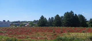 Terreno, foto 2
