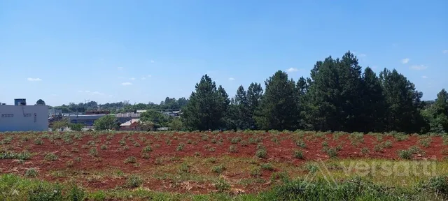 Terreno, foto 2