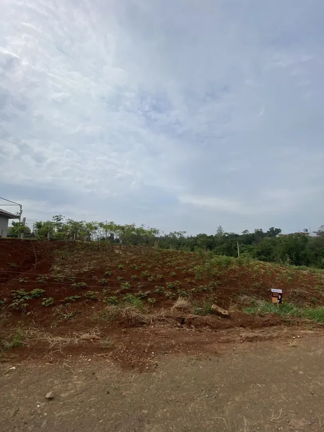 Terreno