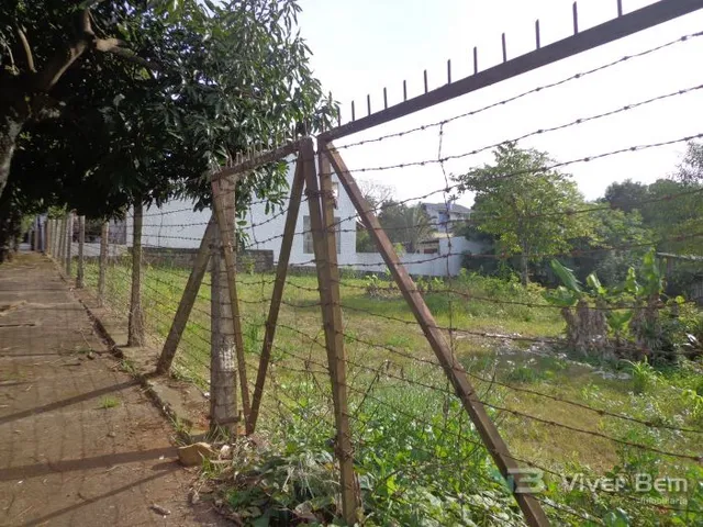 Terreno, foto 3