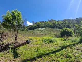 Área rural com 3 dormitórios, foto 14
