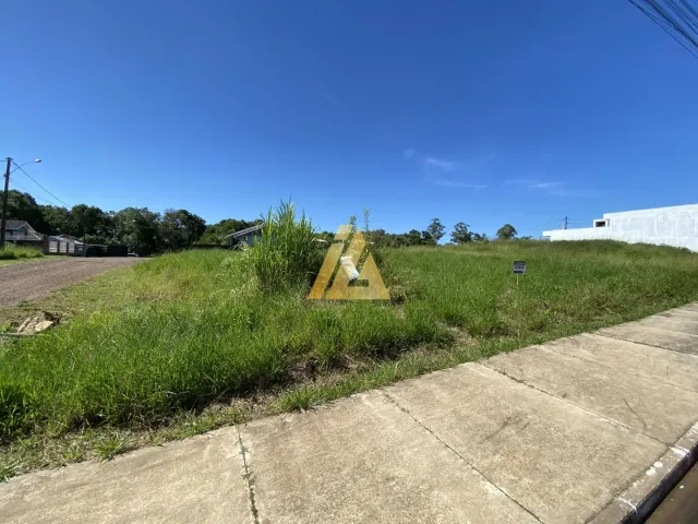 Terreno, foto 2