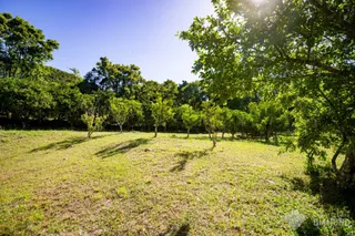 Área rural com 4 dormitórios, foto 41