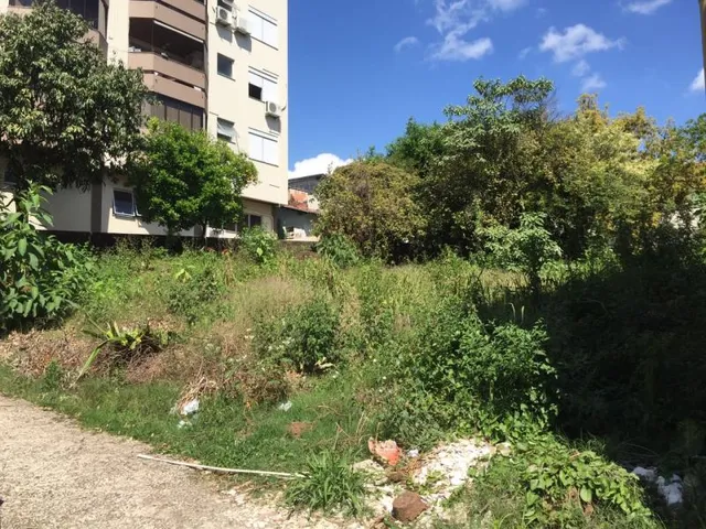 Terreno