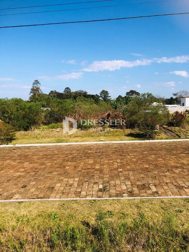 Vista externa do terreno com pavimento e vegetação.
