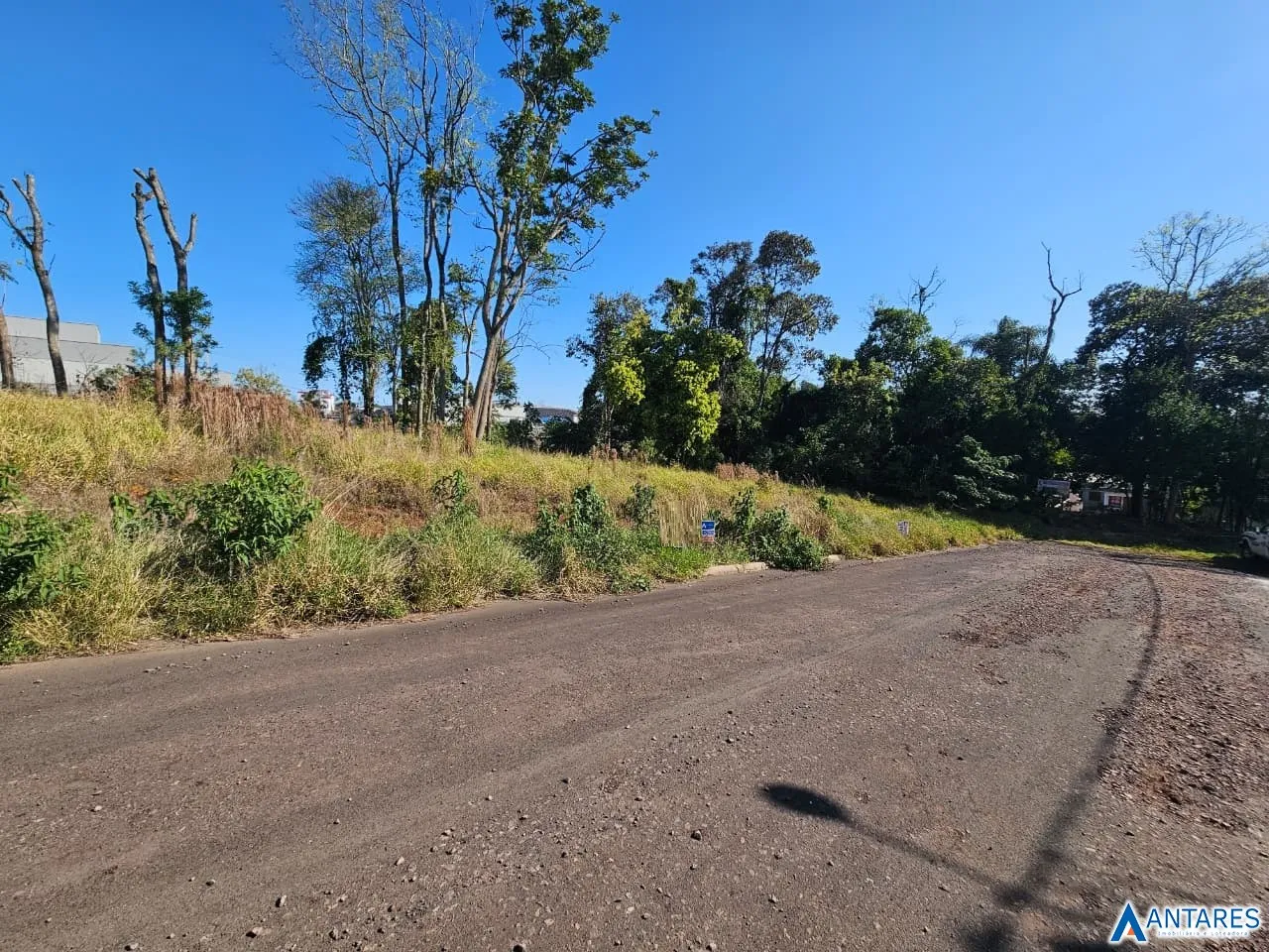 Terreno, foto 1