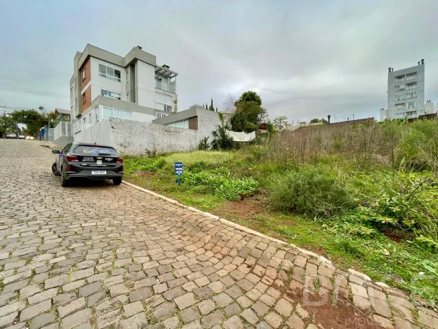 Terreno, foto 2