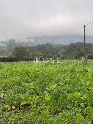 Área rural, foto 4