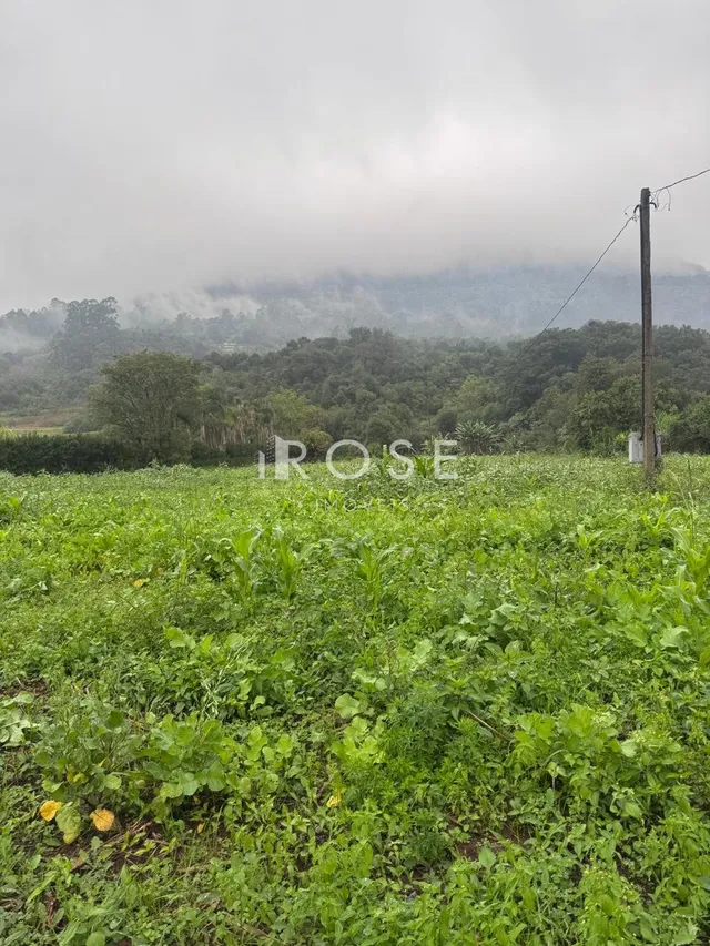 Área rural, foto 4