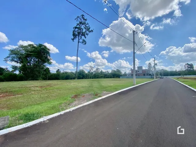 Vista da propriedade com estrada e vegetação ao ar livre.