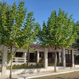 Casa com 3 dormitórios, foto 43