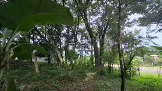 Área rural, foto 8
