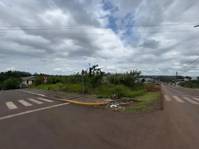 Vista externa de uma rua com vegetação alta e uma residência ao fundo.