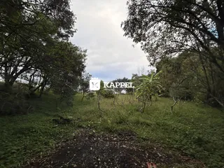 Área rural com 2 dormitórios, foto 27