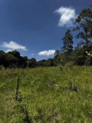 Área rural, foto 9
