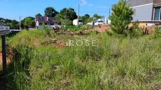 Terreno, foto 2