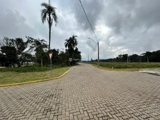 Vista da rua pavimentada em uma área residencial em Lajeado.