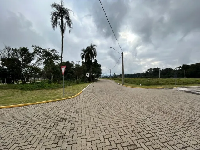 Vista da rua pavimentada em uma área residencial em Lajeado.