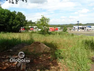 Paisagem de terreno com vegetação alta e solo exposto em Lajeado.