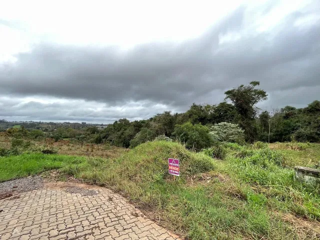 Terreno, foto 3
