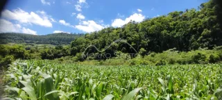Área rural, foto 7