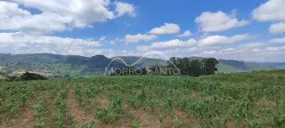 Vista de um campo aberto com vegetação verde sob um céu parcialmente nublado.