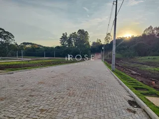 Terreno, foto 7