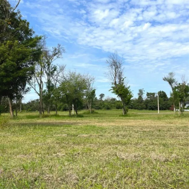 Terreno