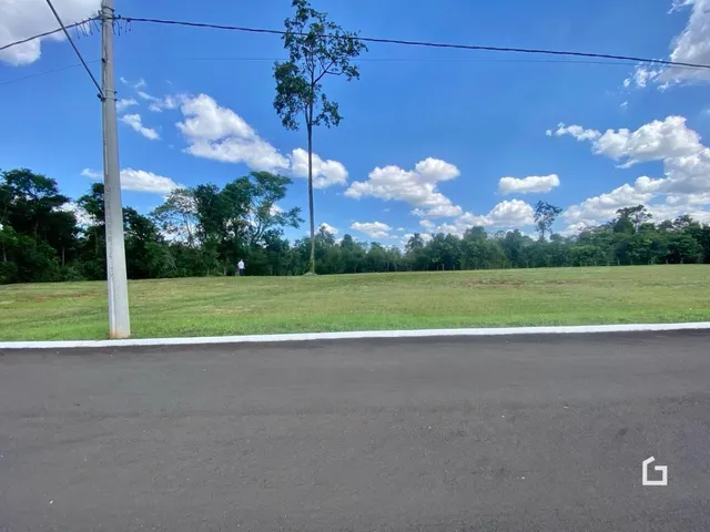 Paisagem de campo com grama verde e árvores sob um céu azul.