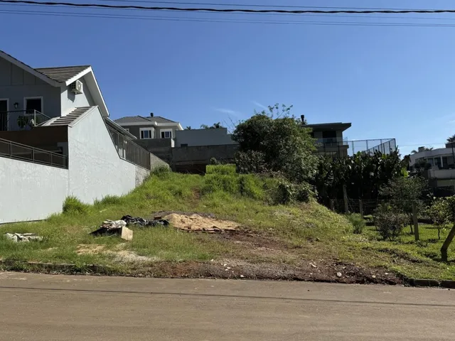 Vista externa de um terreno com vegetação e muro branco.