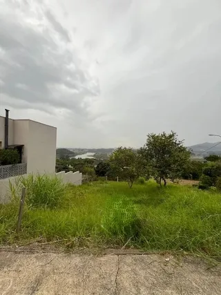 Vista externa com grama alta e vegetação em um terreno.
