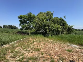 Vista de um terreno com vegetação e piso de tijolos no Brasil.