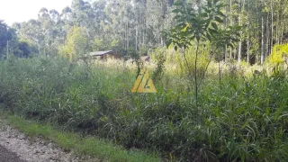 Terreno, foto 7