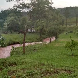 Área rural, foto 7